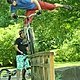 IMG 6215