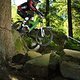 IXS DH-Track Wildbad