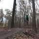 IMG 1490