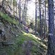 TransVerdon2016 (39)