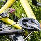 Um den Hauptsponsoren &quot;Mum and Dad&quot; zu danken, wurden hier Blumen gepflückt.