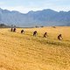 Laura Stigger &amp; Sina Frei of NinetyOne-songo-Specialized lead Ignacio De Luis De Blas &amp; Pablo Morales of Boucle 1 and Ariane Luthi &amp; Robyn de Groot of Salusmed during stage 3 of the 2021 Absa Cape Epic Mountain Bike stage race from Saronsberg to Saro