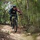 specialized-stumpjumper-action-4980