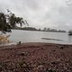 Im Regen Stockbrot und Würstchen