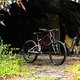 Starling Cycles Mega Murmur Web Size-099