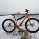 Surly Lowside