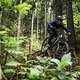 Lake-Bike-7897