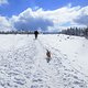 IMG 2744