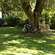 IMG 0055