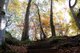 DSC 00290001
