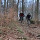 IMG 5239