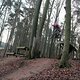 IMG 1328