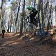 IMG 1683