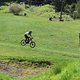 IMG 9742