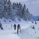 IMG 2734