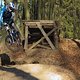 IMG 4520