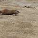 IMG 3212
