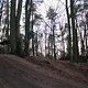 IMG 2028
