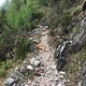 IMG 6921