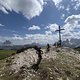 IMG 3731