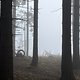 IMG 1302