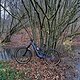 Fahrt am Nachmittag