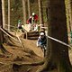 BikeparkWinterberg-09.05.10-2053