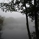 foggy lake