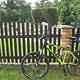 IMG 1228