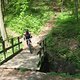 IMG 6741