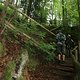 FrnkischeSchweiz01.08.11.050