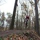 IMG 1471