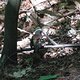 DSC02808