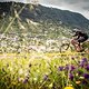 Madeira, die Blumeninsel: Definitiv ein Bikerparadies