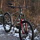 IMG 1571 opti