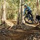 Riding Specialized KinStudio ChristopherLanaway 25 02 06-4340 - Copy