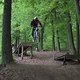 IMG 9952