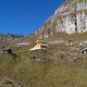 IMAG0258[1]
