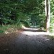 IMG 0030