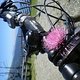 2008Transalp063