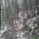 20140613 125409 (Large)