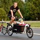 Critical Mass 1708 7084b
