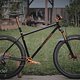 SingleBe - NoisyBee - Custom 29er