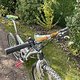 IMG 3157