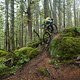 BC Squamish - Mark my Word