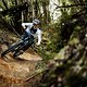 PROPAIN-Tyee-6-1-AL-MY25-eignerframes DSC7407