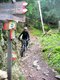 DSCN6006