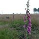 DSCF0108