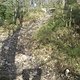 Trail am Kuhkopf
