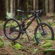 Kein Zahnarzt-Fahrrad, das Banshee Titan ist für den Wald gebaut